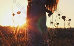 羞羞漫画在线版免费阅读网页入口